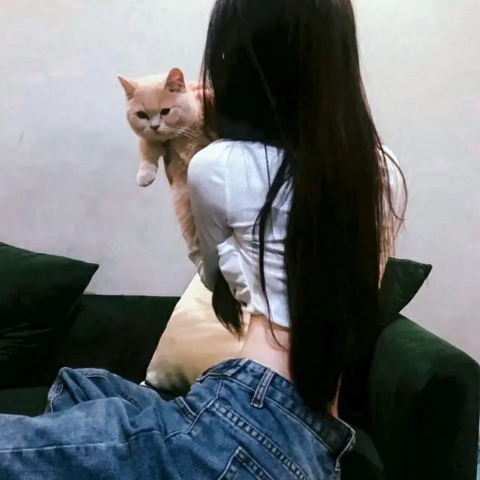 顶尖秀